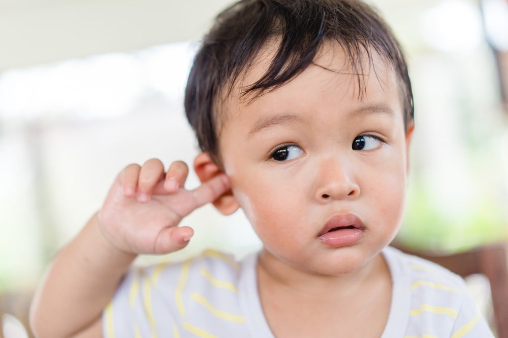 Ear